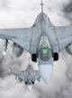 Pair Hungarian Air Force Wall Decal Design 1