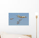 Royal Moroccan Air Force Wall Decal Design 25
