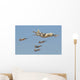 Royal Moroccan Air Force Wall Decal Design 25