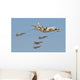 Royal Moroccan Air Force Wall Decal Design 25