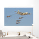 Royal Moroccan Air Force Wall Decal Design 25