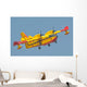 Royal Moroccan Air Force Wall Decal Design 22