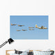 Royal Moroccan Air Force Wall Decal Design 15