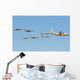 Royal Moroccan Air Force Wall Decal Design 15