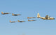 Royal Moroccan Air Force Wall Decal Design 15