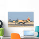 Royal Moroccan Air Force Wall Decal Design 11