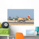 Royal Moroccan Air Force Wall Decal Design 11