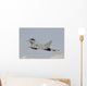 Spanish Air Force Ef-2000 Wall Decal Design 9