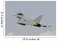Spanish Air Force Ef-2000 Wall Decal Design 9