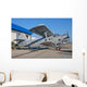 Bulgarian Air Force An-2 Wall Decal
