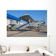 Bulgarian Air Force An-2 Wall Decal