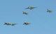 Bulgarian Air Force Mig-21 Wall Decal Design 7