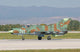 Bulgarian Air Force Mig-21 Wall Decal Design 6