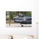 Hellenic Air Force Ta-7 Wall Decal Design 10