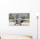 Hellenic Air Force Ta-7 Wall Decal Design 9