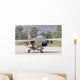 Hellenic Air Force Ta-7 Wall Decal Design 9