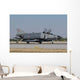 Turkish Air Force F-4 Wall Decal Design 8