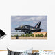 Royal Air Force Hawk Wall Decal