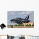 Royal Air Force Hawk Wall Decal
