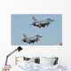 Pair Polish Air Force Wall Decal