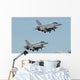 Pair Polish Air Force Wall Decal