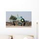 Bulgarian Air Force Mig-21 Wall Decal Design 5