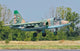 Bulgarian Air Force Su-25 Wall Decal Design 2