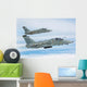 Pair Italian Air Force Wall Decal