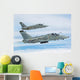 Pair Italian Air Force Wall Decal