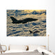Italian Air Force Amx-acol Wall Decal Design 2