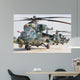 Row Azerbaijan Air Force Wall Decal