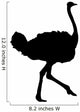 Ostrich Wall Decal