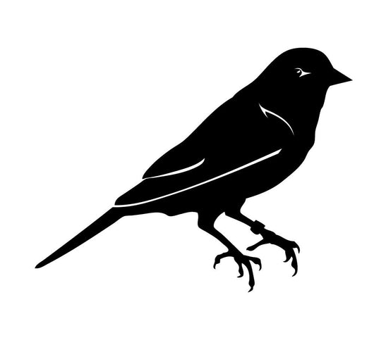 Bird Wall Decal