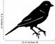 Bird Wall Decal