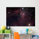 Cave Nebula Wall Decal