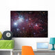 Ngc 2264 Cone Nebula Wall Decal Design 2