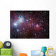Ngc 2264 Cone Nebula Wall Decal Design 2