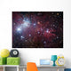 Ngc 2264 Cone Nebula Wall Decal Design 2