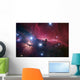 Horsehead Nebula Wall Decal