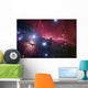 Horsehead Nebula Wall Decal