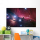 Horsehead Nebula Wall Decal
