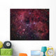 Ic 410 Emission Nebula Wall Decal