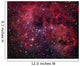 Ic 410 Emission Nebula Wall Decal