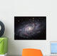 Triangulum Galaxy Wall Decal