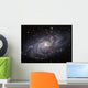 Triangulum Galaxy Wall Decal