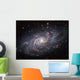 Triangulum Galaxy Wall Decal