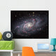 Triangulum Galaxy Wall Decal