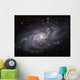 Triangulum Galaxy Wall Decal