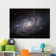 Triangulum Galaxy Wall Decal