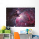 Up Orion Nebula Wall Decal
